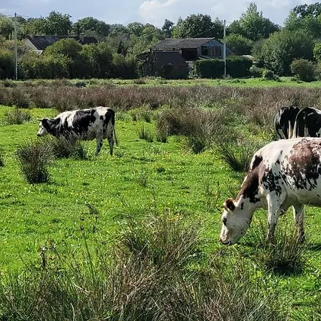 Entre Ciel Et Marais *