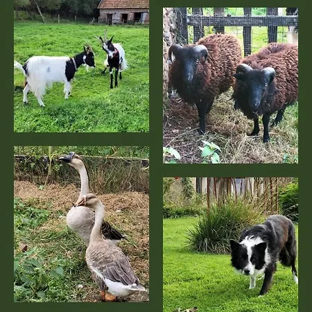 Entre Ciel Et Marais * Graignes