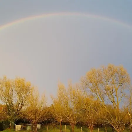Entre Ciel Et Marais