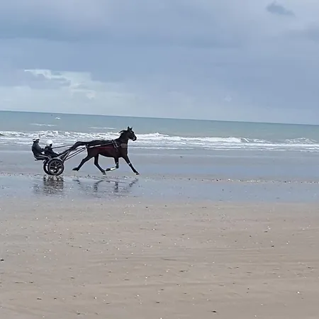 Entre Ciel Et Marais 別荘