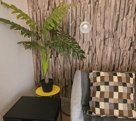 Entre Ciel Et Marais