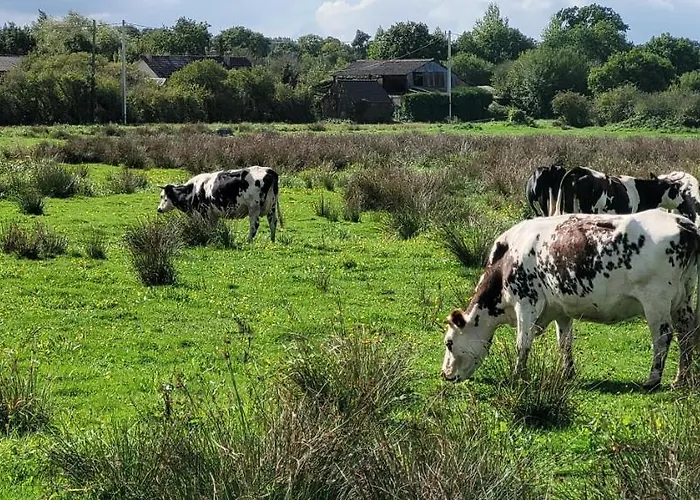 Entre Ciel Et Marais *