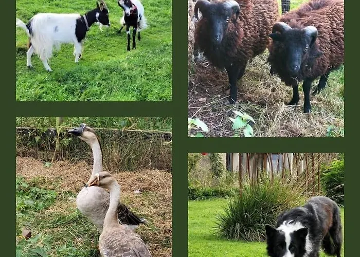 Entre Ciel Et Marais * Graignes