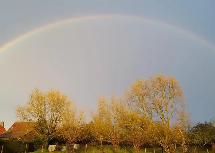 Entre Ciel Et Marais
