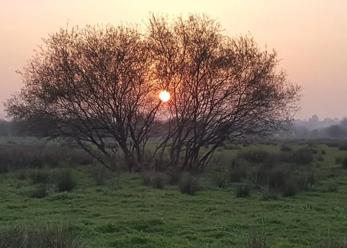 펜션 Entre Ciel Et Marais