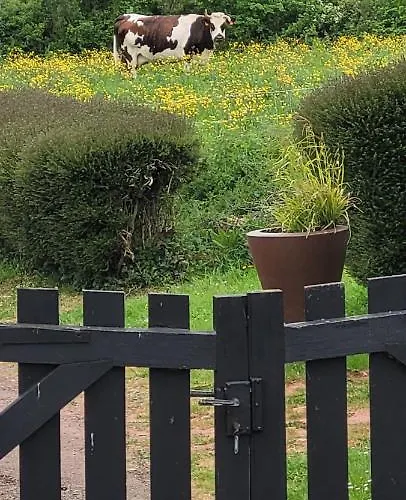 Entre Ciel Et Marais *