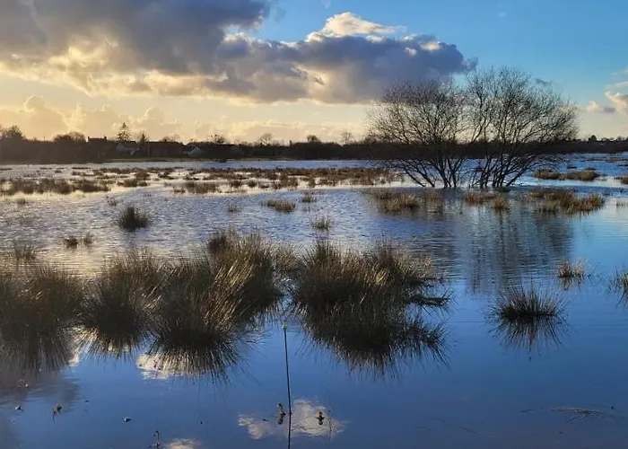 Entre Ciel Et Marais *